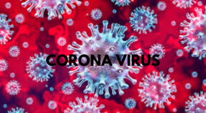 Гражданству Доминики пандемия коронавируса не страшна
