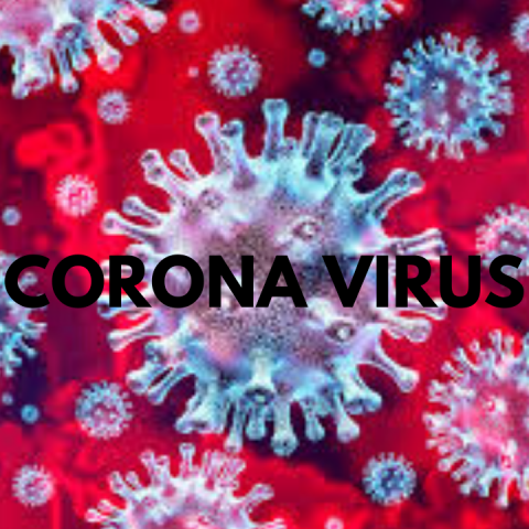 Гражданству Доминики пандемия коронавируса не страшна