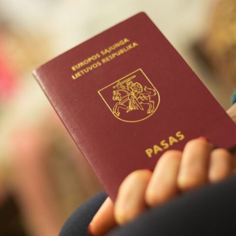 Двойное гражданство на референдуме в Литве не прошло